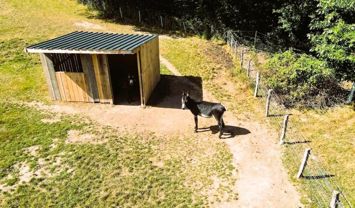 Roulotte & Foret - Evasion Boheme En Bourgogne Antully Exterior photo